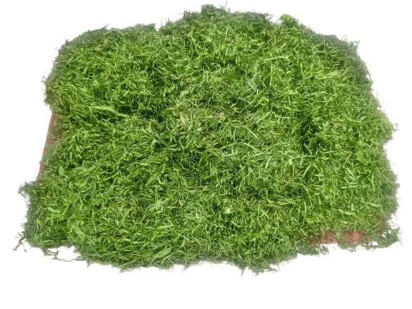 Okazi Leaf